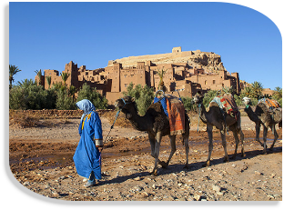 Morocco private tours from Marrakech,desert Morocco travel